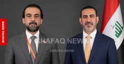Former Iraqi minister emerges as vice president candidate