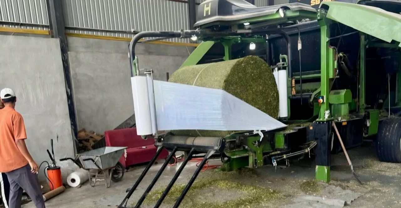 Iraq approves corn silage export to boost non-oil trade