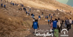Rwanga volunteers plant 100K oak seeds in Duhok