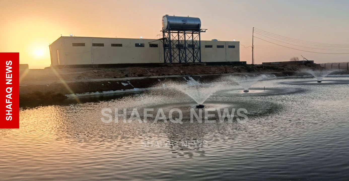 الحياة تعود لبحيرة عنه.. المياه والأسماك تنتعشان بعد سنوات الجفاف (صور وفيديو)