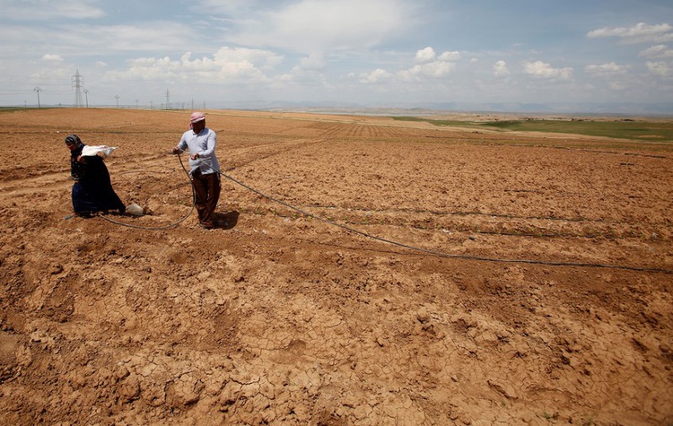 Special Report: How Iraq's agricultural heartland is dying of thirst