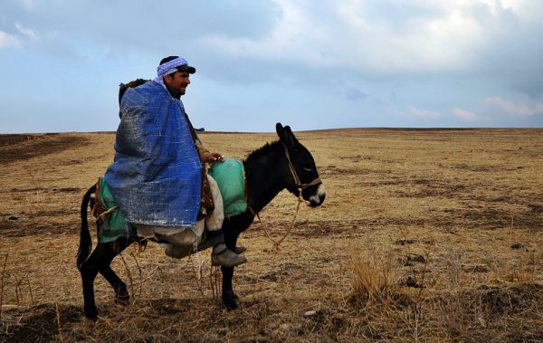  Iranian Kurdistan: Poverty Forces Kolbars into Smuggling 