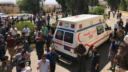 Five men killed by spouses, 115 committed suicide in Kurdistan in 2018: NGO