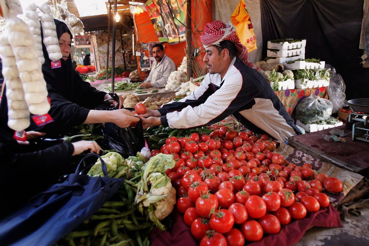  Iraq: ‘Dangerous disease’ hits tomato produce