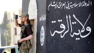 How many IS foreign fighters are left in Iraq and Syria?