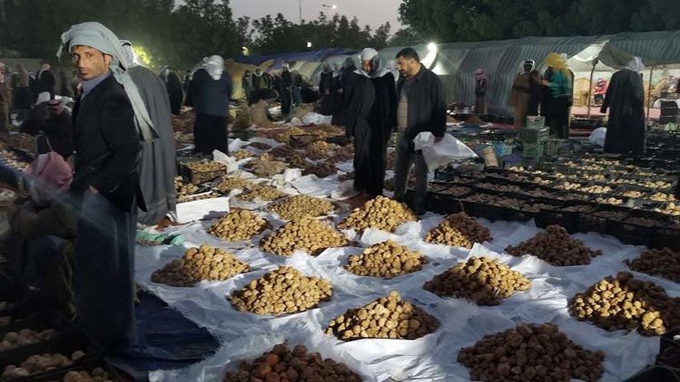  In Iraq's desert, truffles aren't a trifle