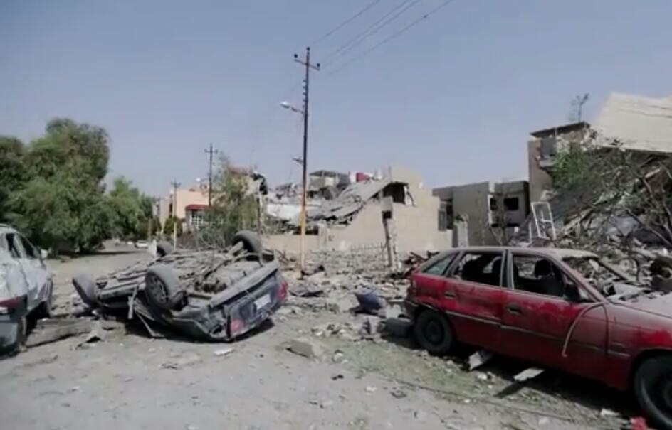 مشاهدات مرعبة من الموصل كلاب "تمضغ أشلاء ادميين" امام الأطفال