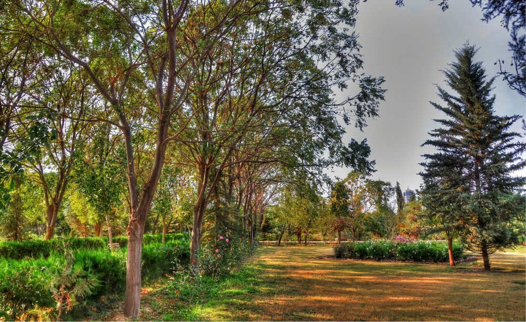 Public parks to reopen in Erbil