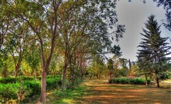 Public parks to reopen in Erbil