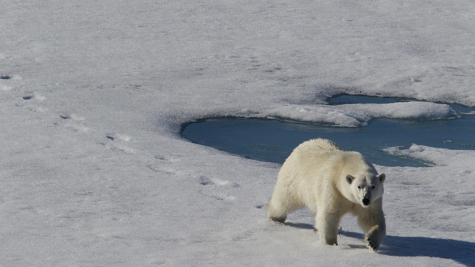 تسجيل أعلى درجة حرارة في تاريخ القطب الشمالي