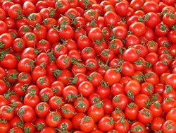 Kurdistan region prohibits importing tomato