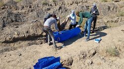 العثور على 200 جثة على الأقل في مقبرة جماعية بالرقة السورية