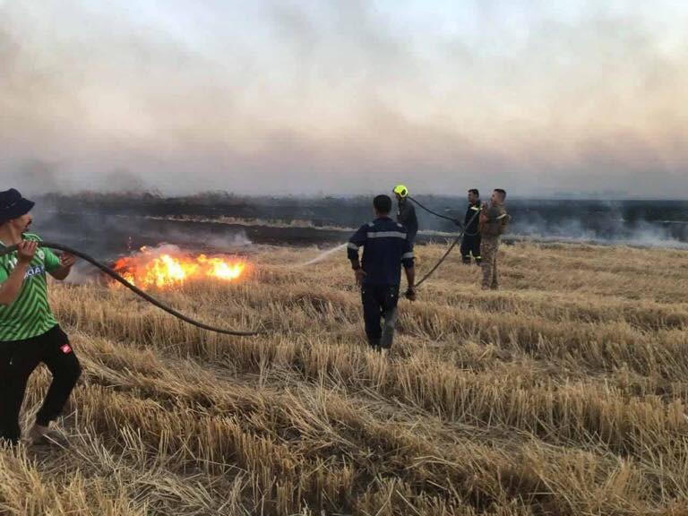 داعش يضرم النيران في حقول القمح شمالي ديالى