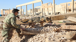 New details revealed on al-Baghdadi operation