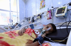 انفلونزا الخنازير  خطر يداهم اقليم كوردستان