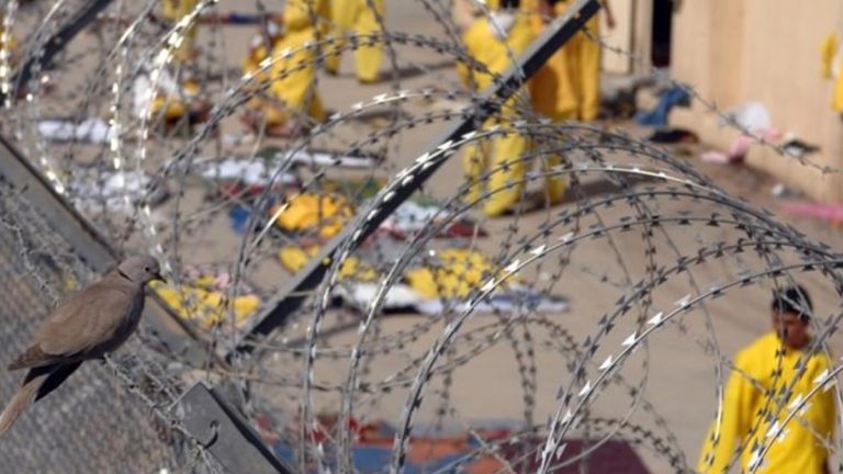 الزاملي: داعش يخطط لتهريب 10 الاف عنصر بينهم قادة من سجن جنوبي العراق