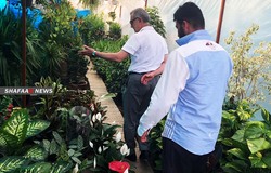 وسط ازدهار بمبيعاتها.. الحجر المنزلي يدفع الأربيليين لهواية جديدة