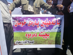 تظاهرات امام برلمان اقليم كوردستان تطالب بحظر استيراد الدجاج