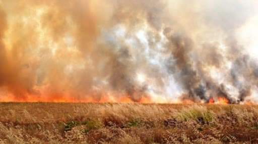 داعش يضرم النيران مجددا في مزارع بمحيط خانقين