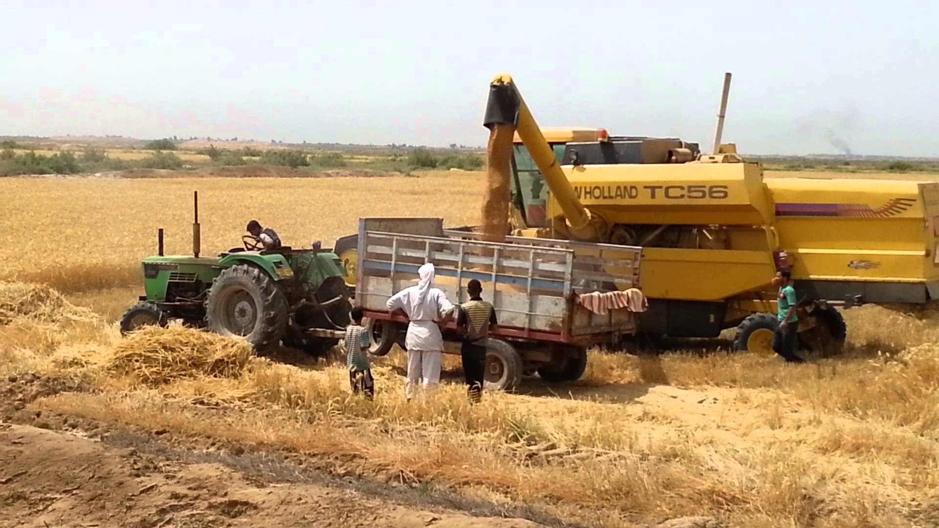 Baghdad agrees to increase the share of Kurdistan of delivered agricultural crops