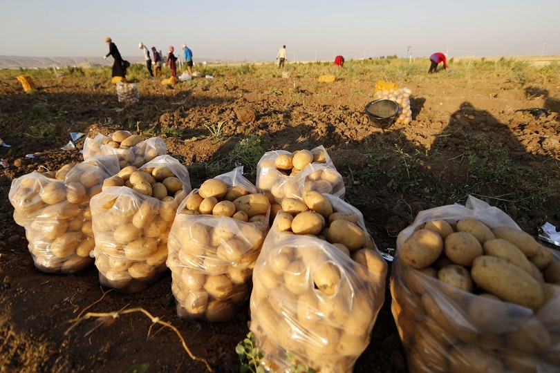 الحداد يبحث تعاونا زراعيا بين بغداد وكوردستان