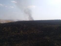 حريق "كبير" يأتي على اراضٍ زراعيةٍ في السليمانية