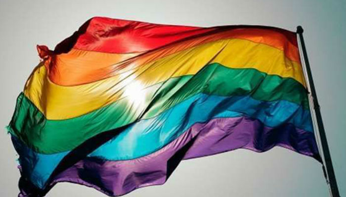 Iraqi Foreign Ministry denounces raising rainbow flag