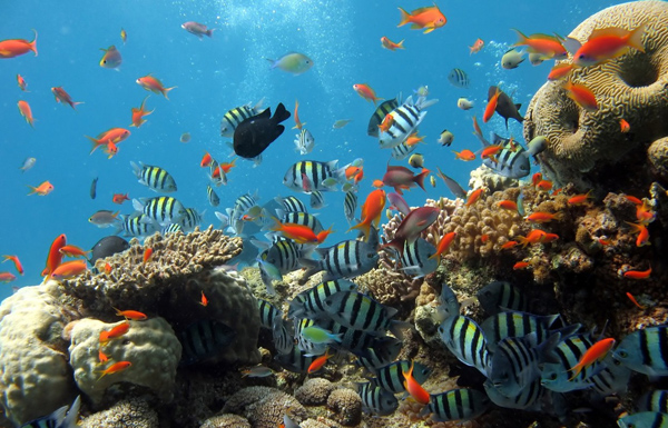 Protecting the planet leads to economic gain