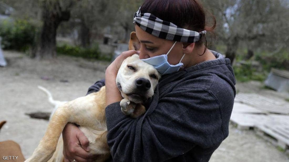 تعرف على الحيوانات المعرضة للإصابة بكورونا