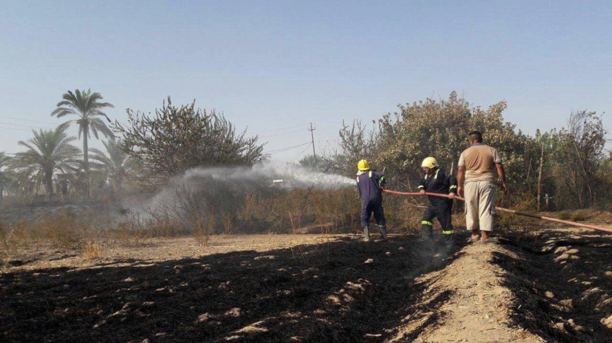 العراق يحدد تأثير الحرائق على انتاجه من الحنطة والشعير