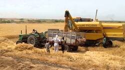 بغداد توافق على زيادة كمية حصة اقليم كوردستان من المحاصيل الزراعية المسلمة