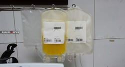 في السليمانية .. مئات المتعافين من كورونا يتبرعون ببلازما الدم