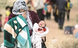 منظمة تنشر احصائية للاجئين الساكنين في كوردستان