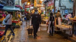 الصين ترفع القطط والكلاب من قائمة الحيوانات "القابلة للأكل"