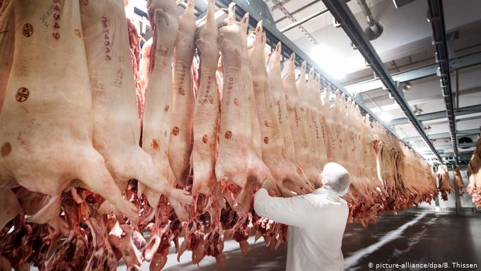 كورونا يضرب أكبر شركات اللحوم في أوروبا