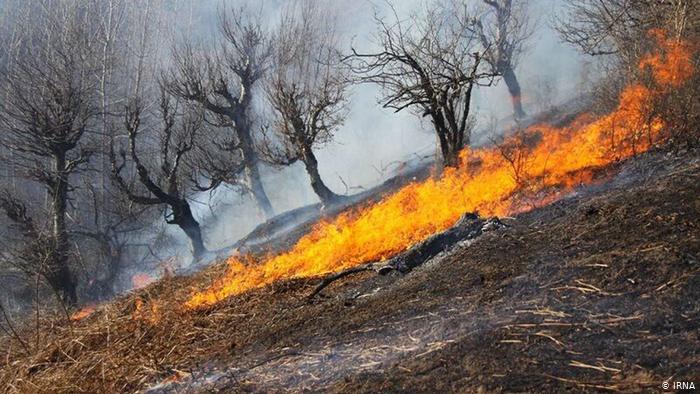 حرائق كبيرة في ايلام الفيلية تأتي على مساحات واسعة