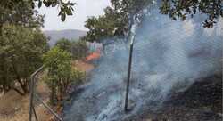 Flames took over 550 dunum in Al-Sulaymaniyah