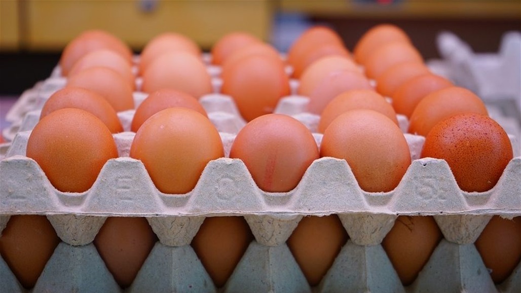 الرقابة التجارية في السليمانية "تبشّر" بانخفاض  تدريجي في سعر بيض المائدة