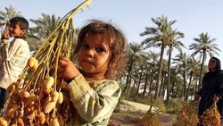"النخلة" و"زيارة الأربعين" على لائحة التراث الإنساني
