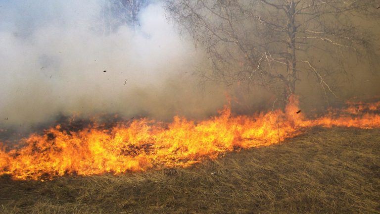 اندلاع حريق كبير في اراض زراعية في سنجار