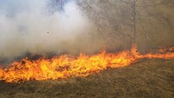 اندلاع حرائق في محاصيل زراعية للكورد الكاكائيين جنوب كركوك