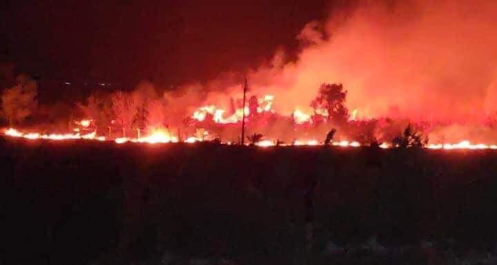 حريق كبير يلتهم مزروعات قرب كركوك