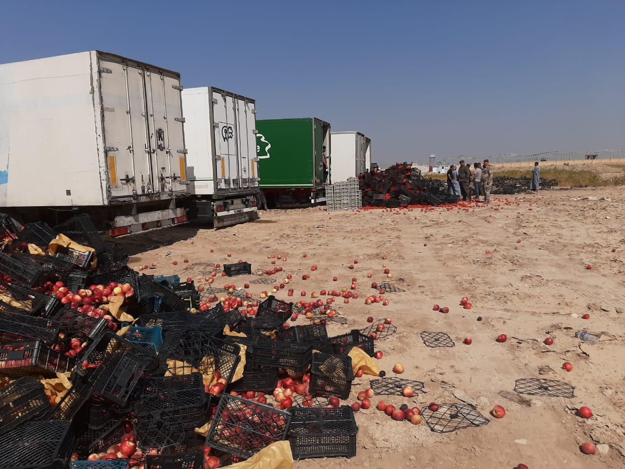السطات العراقية تتلف اطنانا من الطماطم والتفاح الايراني