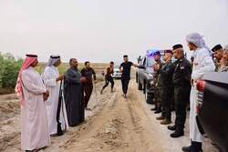 محافظة عراقية تقتل عشرات الخنازير البرية (صور)