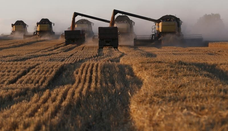 مطالبة للحكومة العراقية بزيادة نسبة تسويق الحنطة لفلاحي كوردستان
