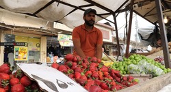 البصرة.. كورونا يهدد مائدة العراقيين ويضيّق الخناق على المزارعين