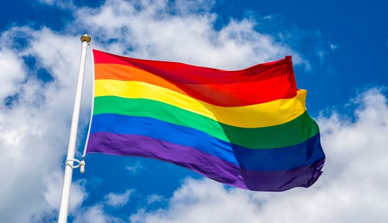 علم المثليين في سماء دولة عربية