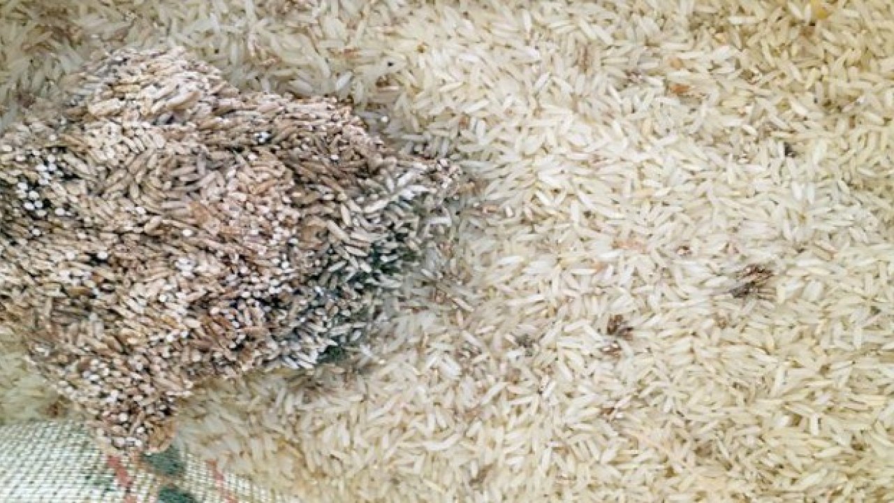 السليمانية تضبط 100 طن من الرز التالف