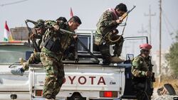New official outcome of the attack "Karmian"