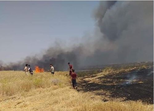 الآسايش تعتقل متهمين بافتعال حرائق بعشرات الدونمات في منطقة بإقليم كوردستان